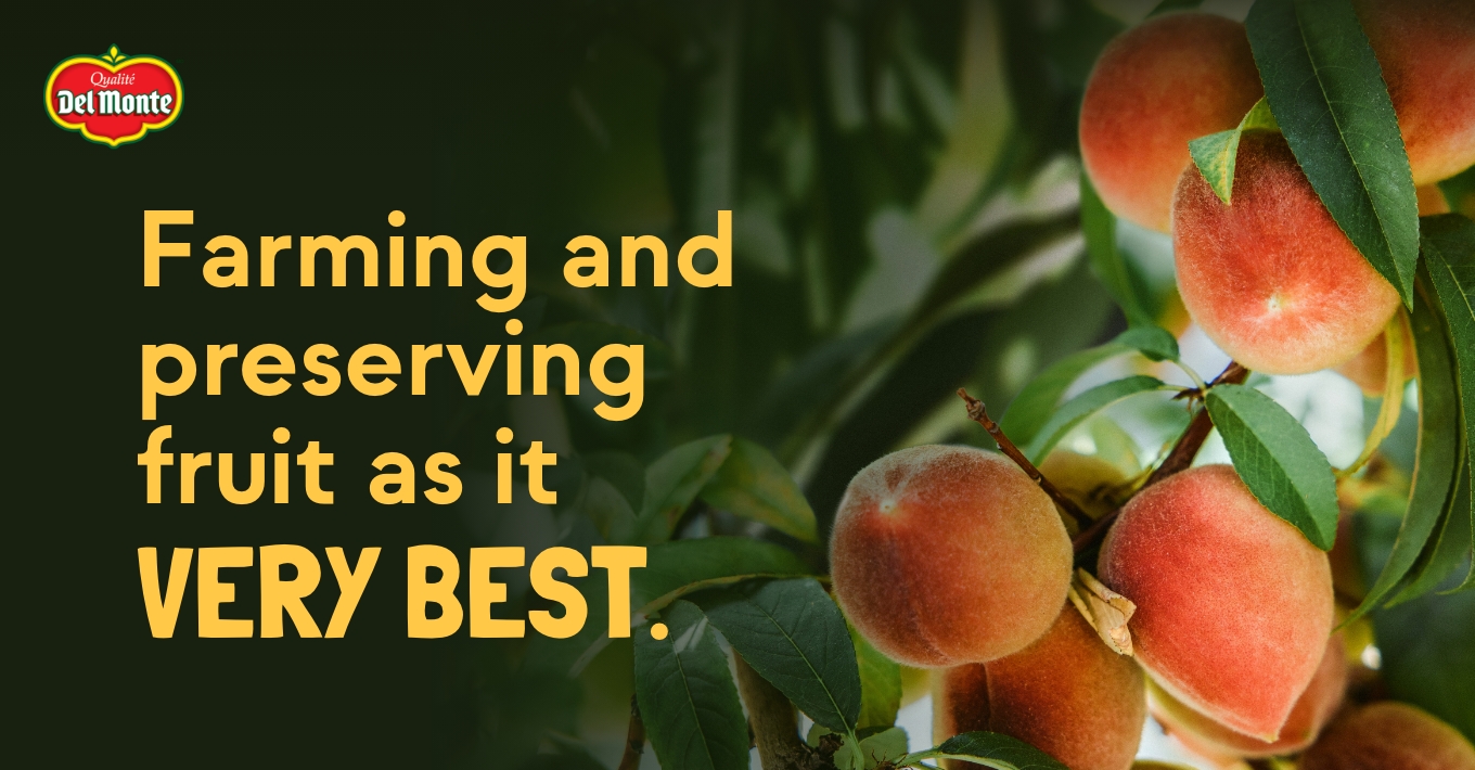 Discover Our Del Monte Product Lines Discover Our Del Monte Product Lines